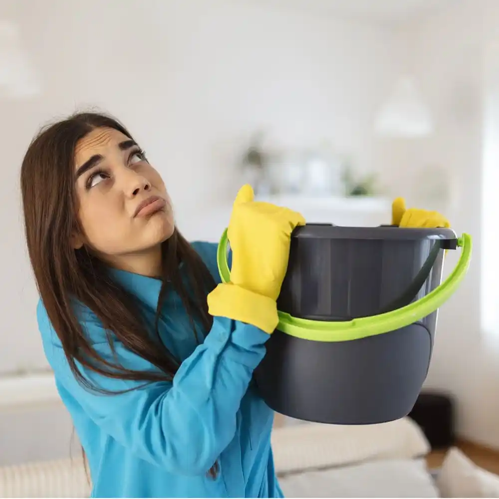 water damage restoration service Dollar Bay